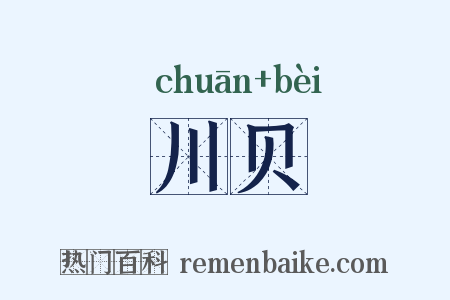 川贝是什么意思的图片